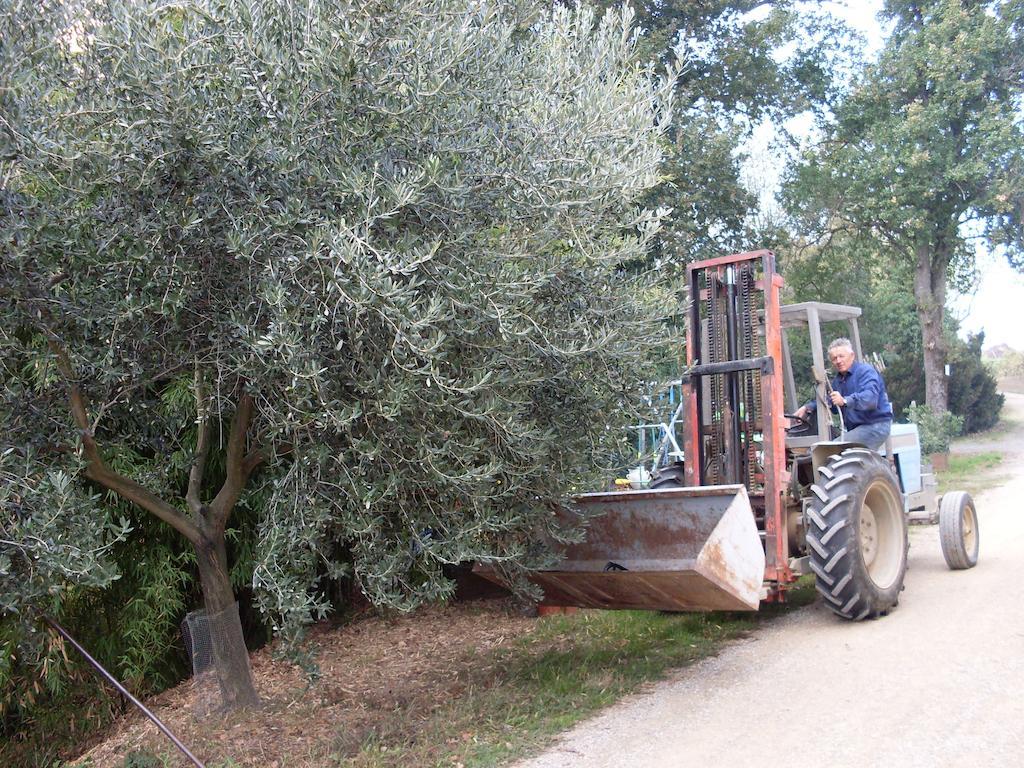 Agriturismo La Marletta 伊莫拉 外观 照片